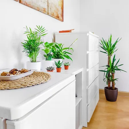 Bis 6 Personen - Helle, Ruhige Whg, 2 Bäder, Dd Neustadt - Lage * Dresden
